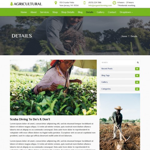 Preparation of plant and products blog detail html