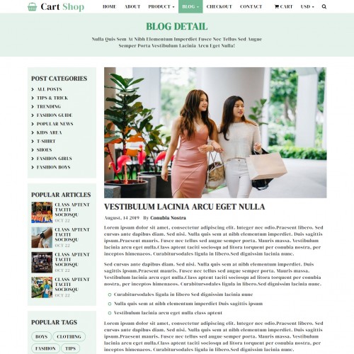 Shopping cart company blog details web design
