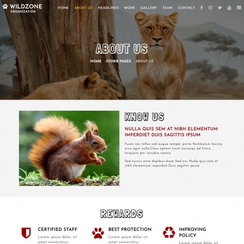 Responsive jungle template about page html
