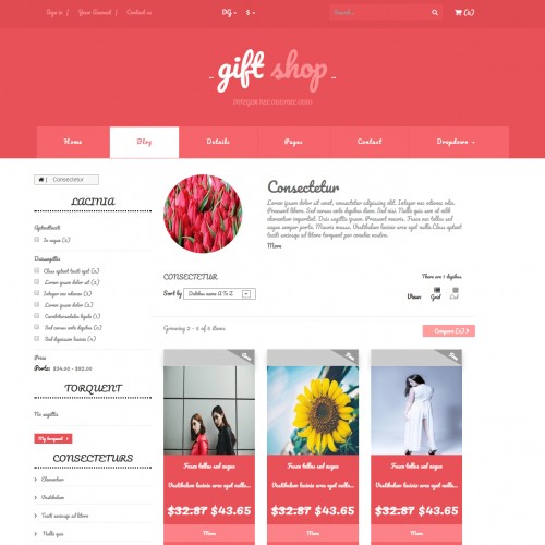 Web store blog web design