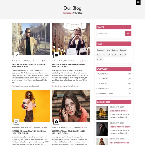 Fashion blogs responsive html