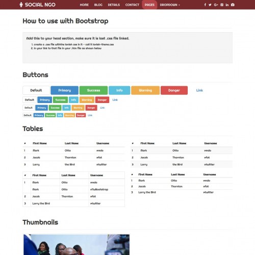NGO template html elements bootstrap