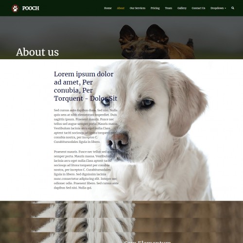 Petdog About Page