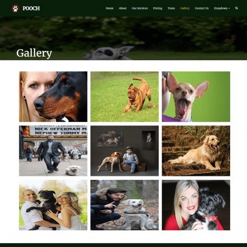Petdog Gallery Page