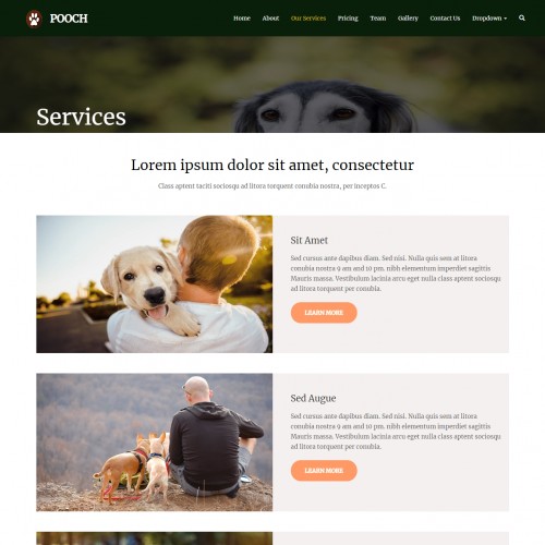 Petdog Our services Page