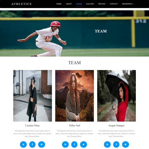 Sport team html design