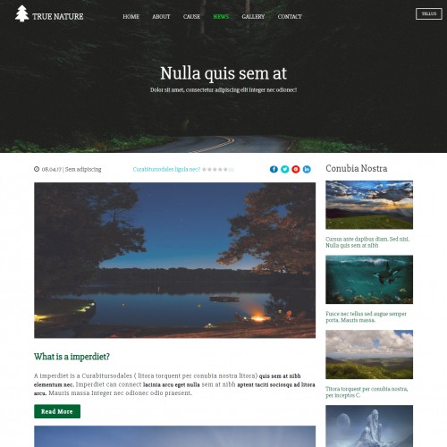 Ecosystem Website Template NEWS Page
