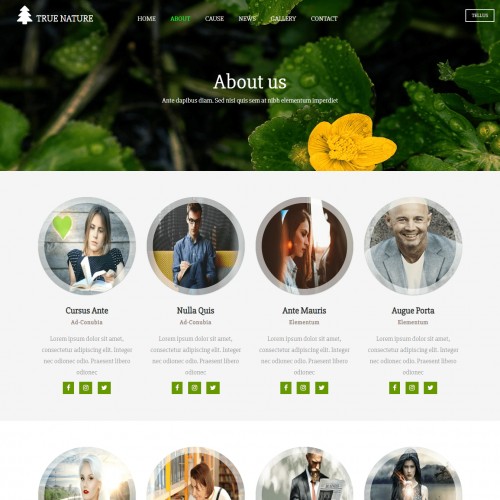 Environment Responsive Website Template About Page