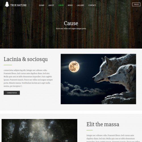 Jungle Bootstrap Website Layout Cause Page