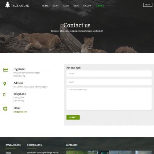 Nature Art Website Template Contact Us Page