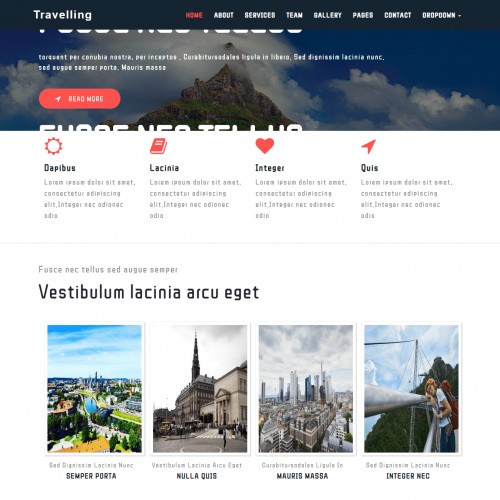 Travelling Responsive Website Home Page