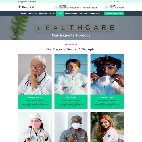 Hospital staff and doctors responsive html
