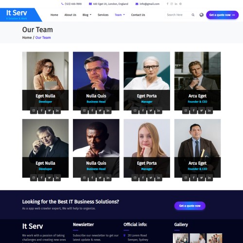 IT business team page html