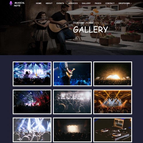 Musical Nights Web Gallery