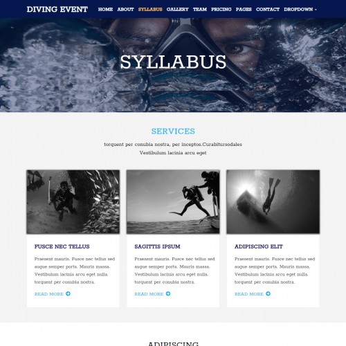 Swimming Syllabus Page