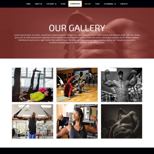Sports Template Gallery