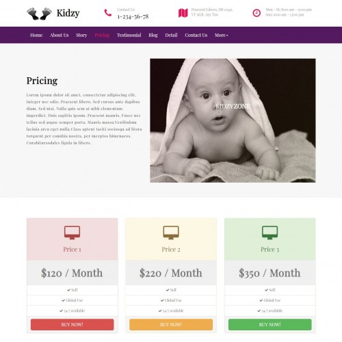 Baby Sitter Pricing Page