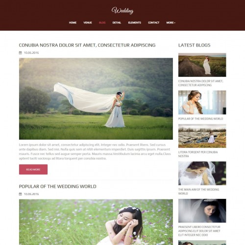 Wedding Function Blog Page