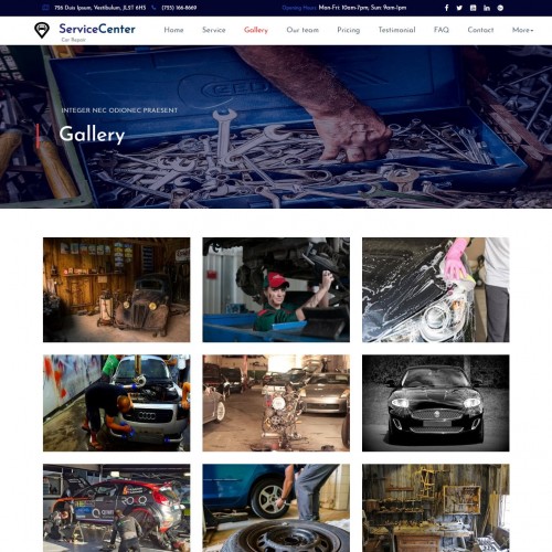 Cars Maintenance Gallery Page