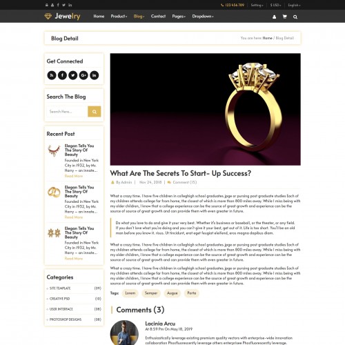 Jewelry blog detail website template design