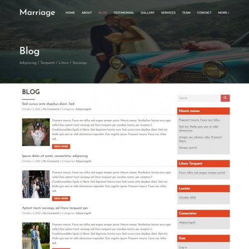 Marriage bureau blogs listing page