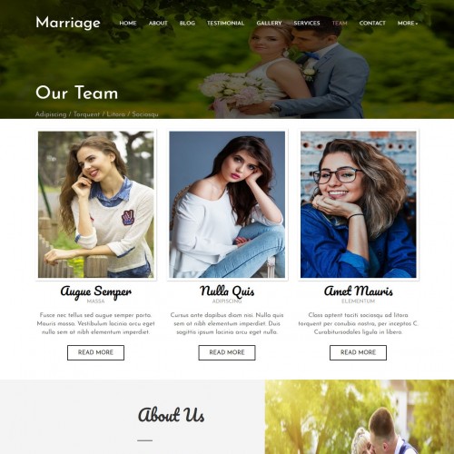 Online marriage organizer team page