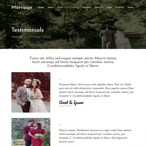Marriage testimonial template free download