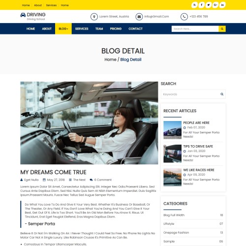 Learn car driving blog details