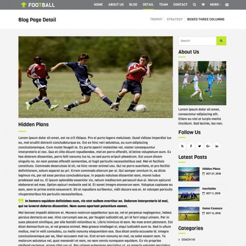 League blog detail page html