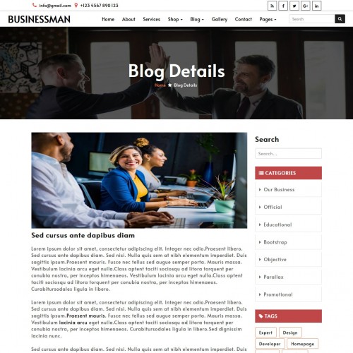 Entrepreneur template blog detail page design