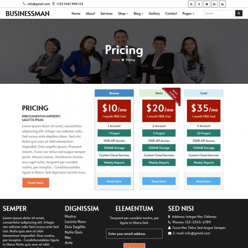 Business subscription price page html