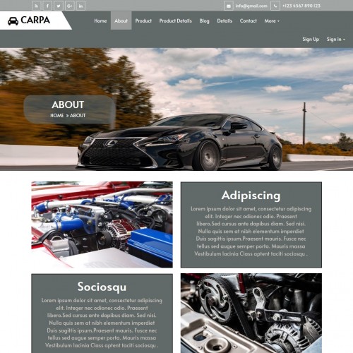 Template page for car dealer details