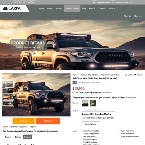 Online car sell and detail page