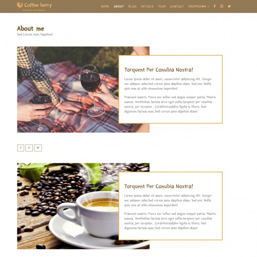 Food responsive website template About Page