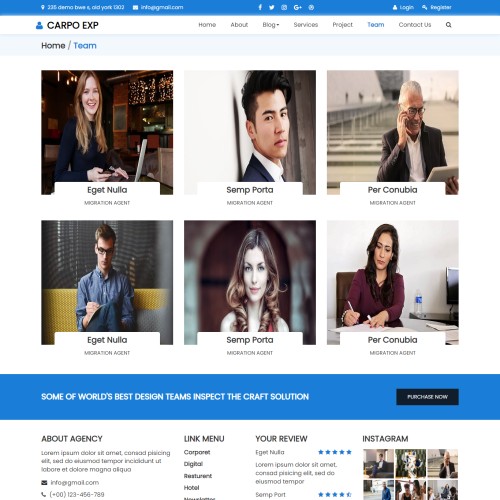 Bootstrap designed business team html