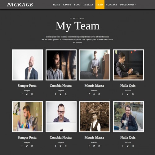 company team responsive html