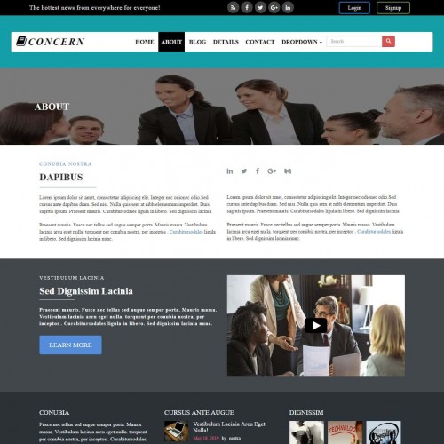 about us page template free download