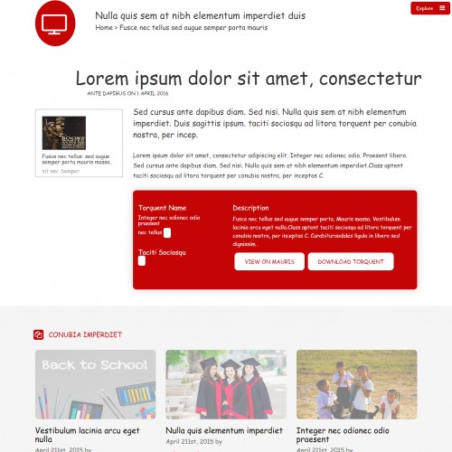Study Responsive Website Template Details Page