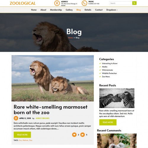 Responsive nature template blogs page