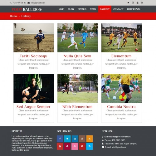 Football sports gallery page