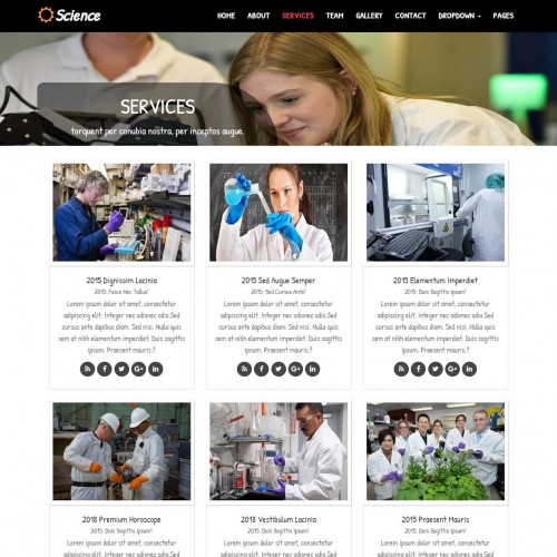 Responsive services html design